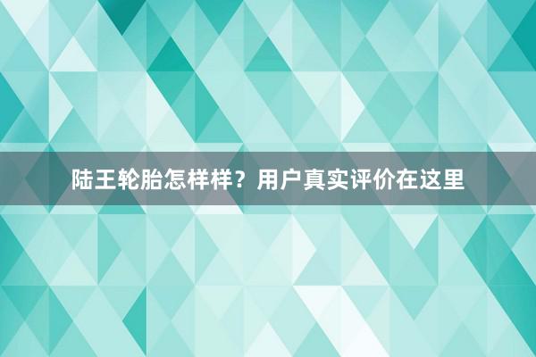 陆王轮胎怎样样？用户真实评价在这里